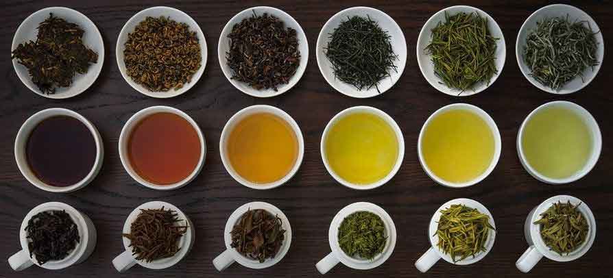 انواع چای و خواص آن ها انواع چای, تغذیه, چای, خواص انواع چای, خواص چای, رژیم, رژیم لاغری, رژیمی